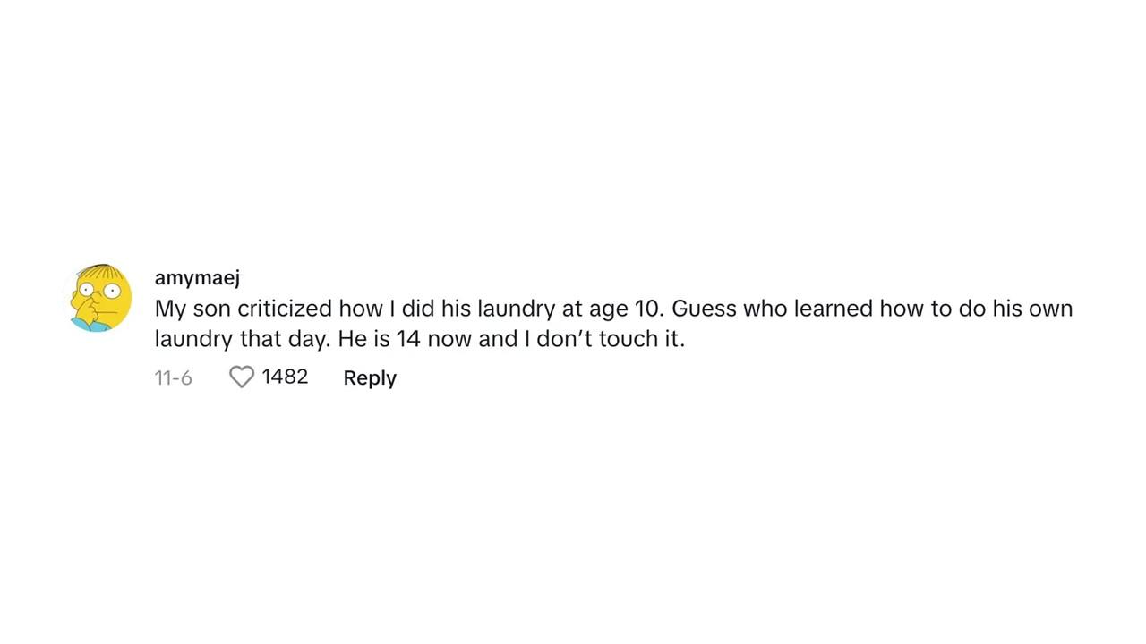 A commenter saying her son learned to do his laundry at 10 years old when he criticized how she did it.