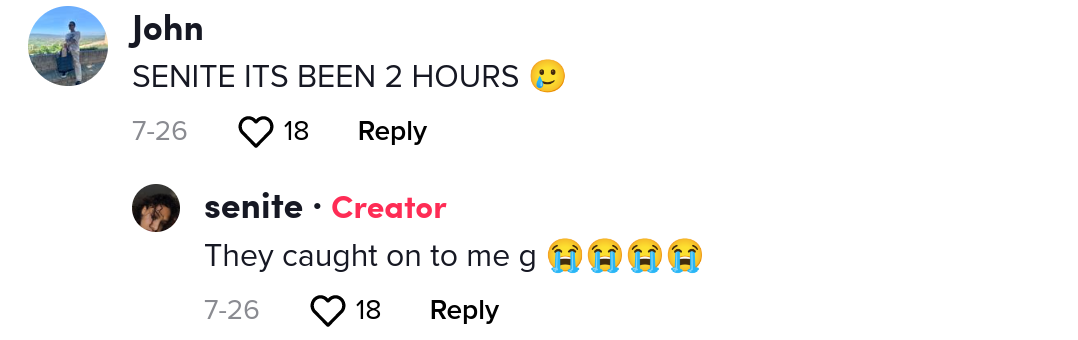 remote worker fired for tiktok