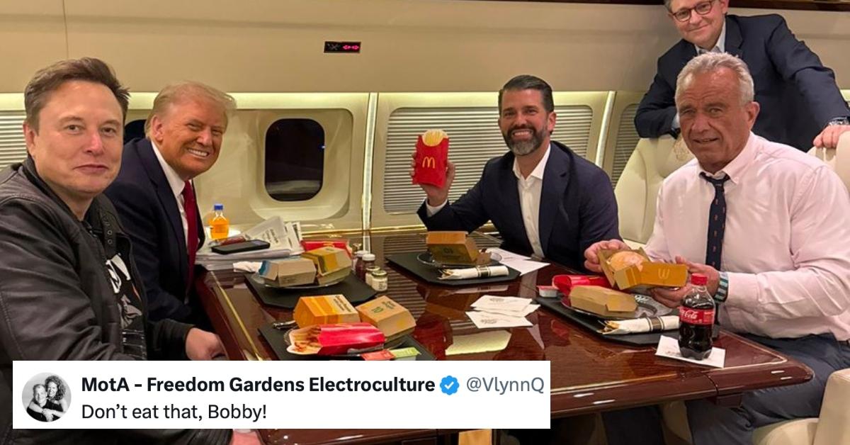 A meme of RFK holding a Big Mac on Trump Force One.