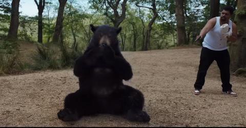 Cocaine Bear in...'Cocaine Bear'