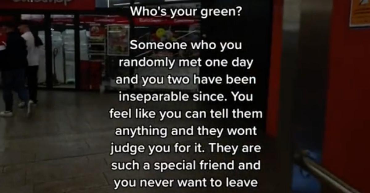 Description of "green person" shared by TikTok creator @lucas.dmx