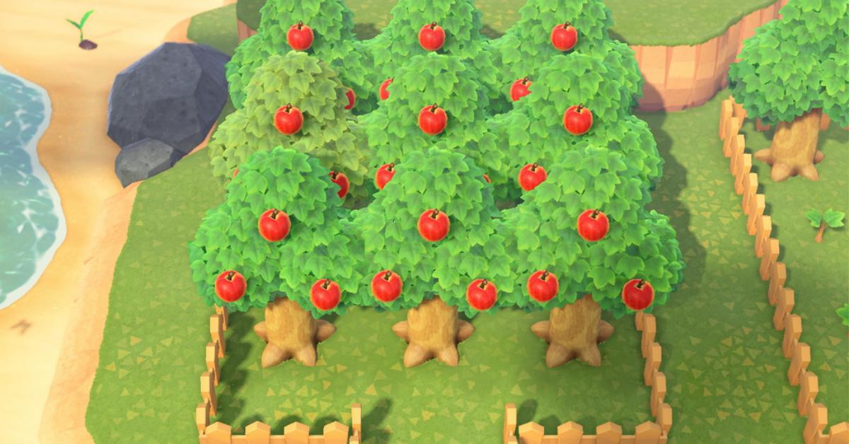 What’s the Best ‘Animal Crossing New Horizons’ Orchard Layout?