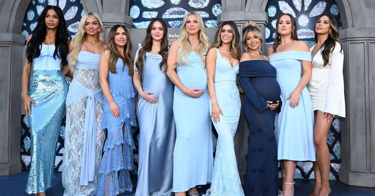 'The Secret Lives of Mormon Wives' Cast