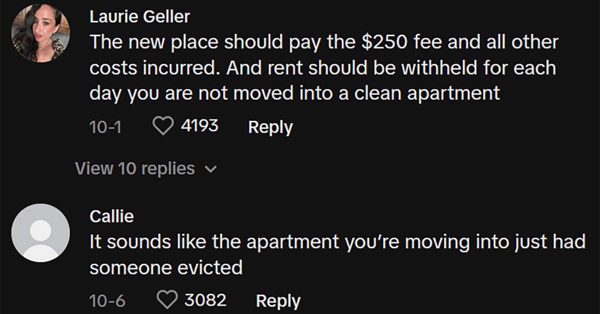 TikTok comments about woman moving into apartment full of trash bags