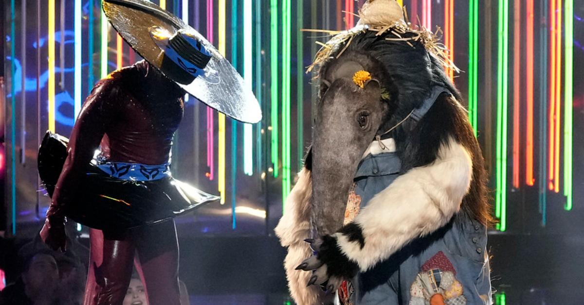 Anteater performing on Season 10 of 'The Masked Singer'