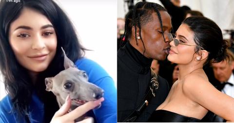kylie-dog-cover-1-1550859579475.jpg