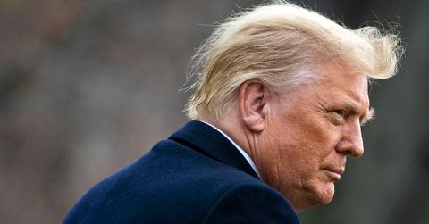 baron trump marvellous underground journey explained