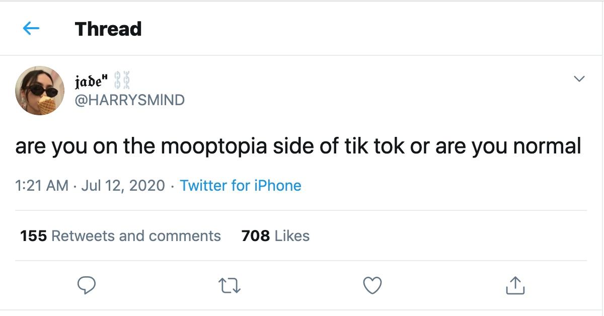 what happened mooptopia tiktok