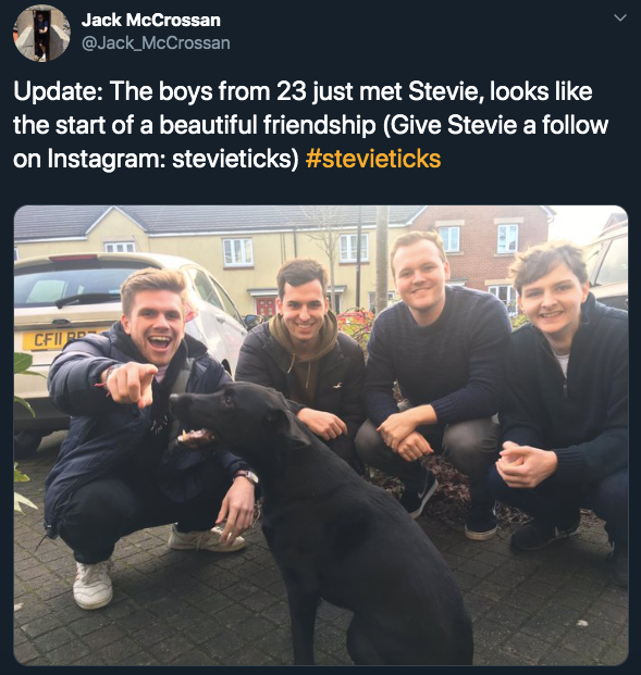 stevie ticks