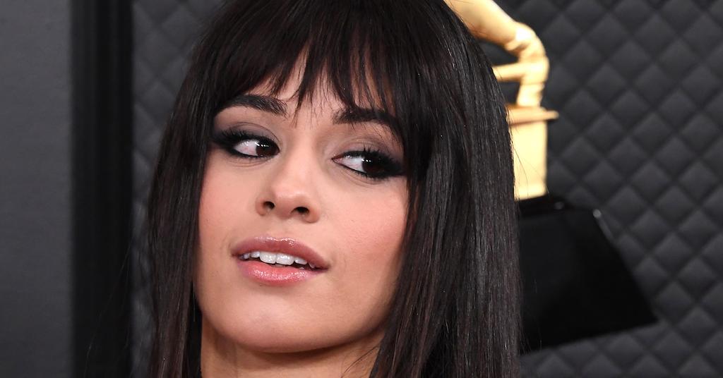 Is Camila Cabello Pregnant With Her First Child? — Details