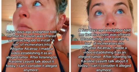 TikTok about incinerators at Alligator Alcatraz