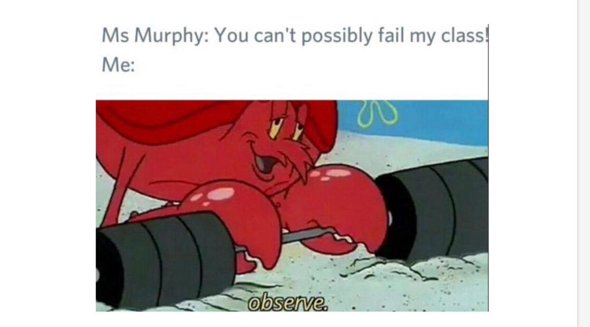 ms murphy memes