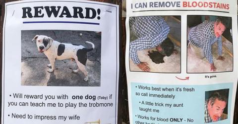 This Guy Posts Fake Ads All Over His Neighborhood And They're Hilarious