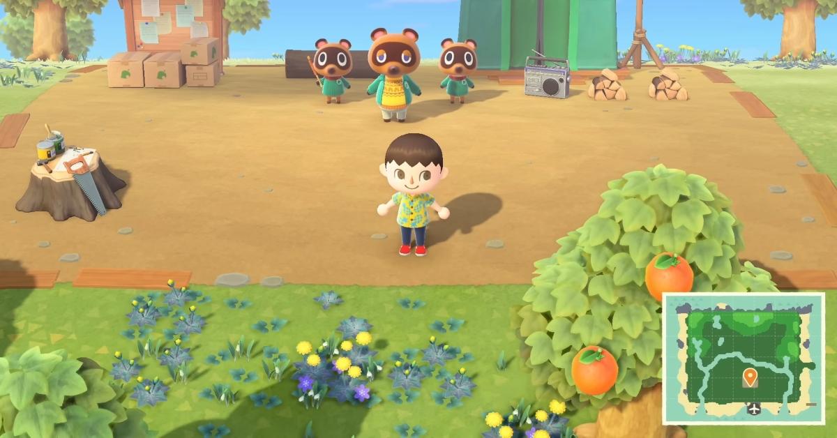 'Animal Crossing: New Horizons'