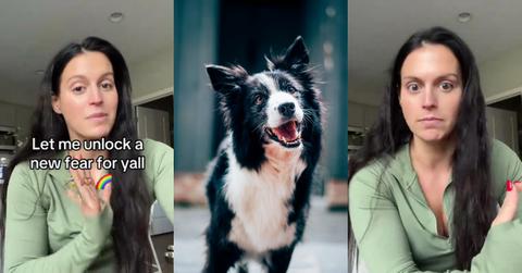 Woman Goes to Doctor to Check Ear Drum, Finds Gobs of Dog Hair