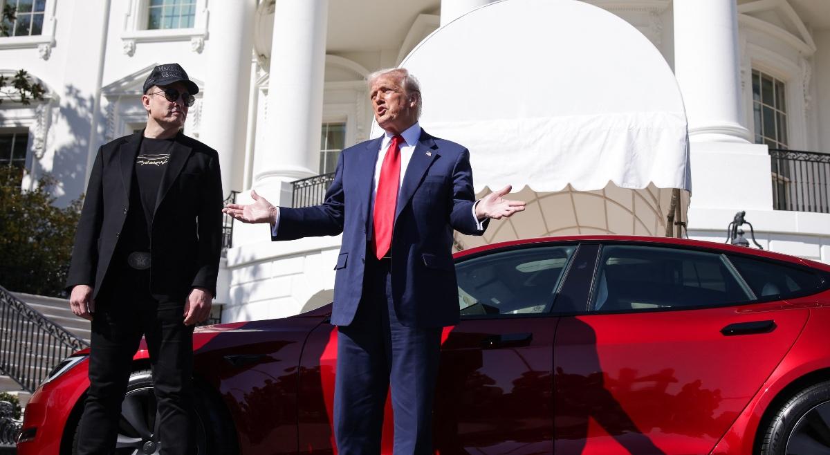 What Is the Percentage of Tesla Owned by Elon Musk?