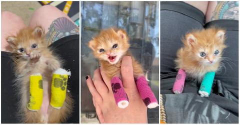 tater tot kitten wearing colorful bandages