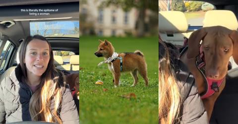 Woman Gets Weird Vibe Dog Park Guy and Her Dog Confirms It