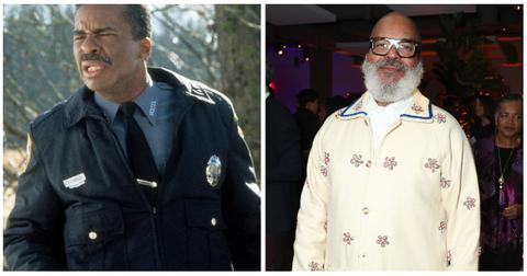 The Jumanji 1995 Cast Then and Now — Many Talented Actors