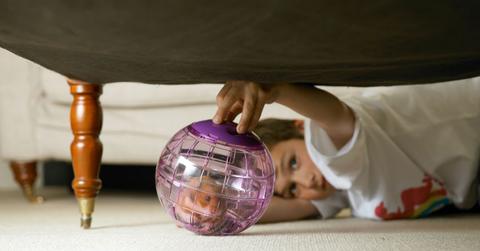 A child playing with a hamster in a ball