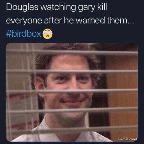 bird box meme