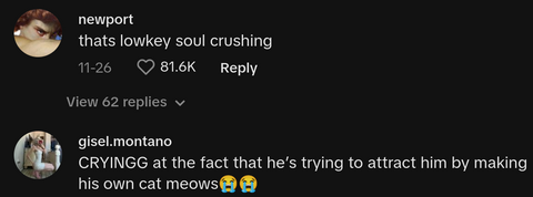 delivery driver cat passed away