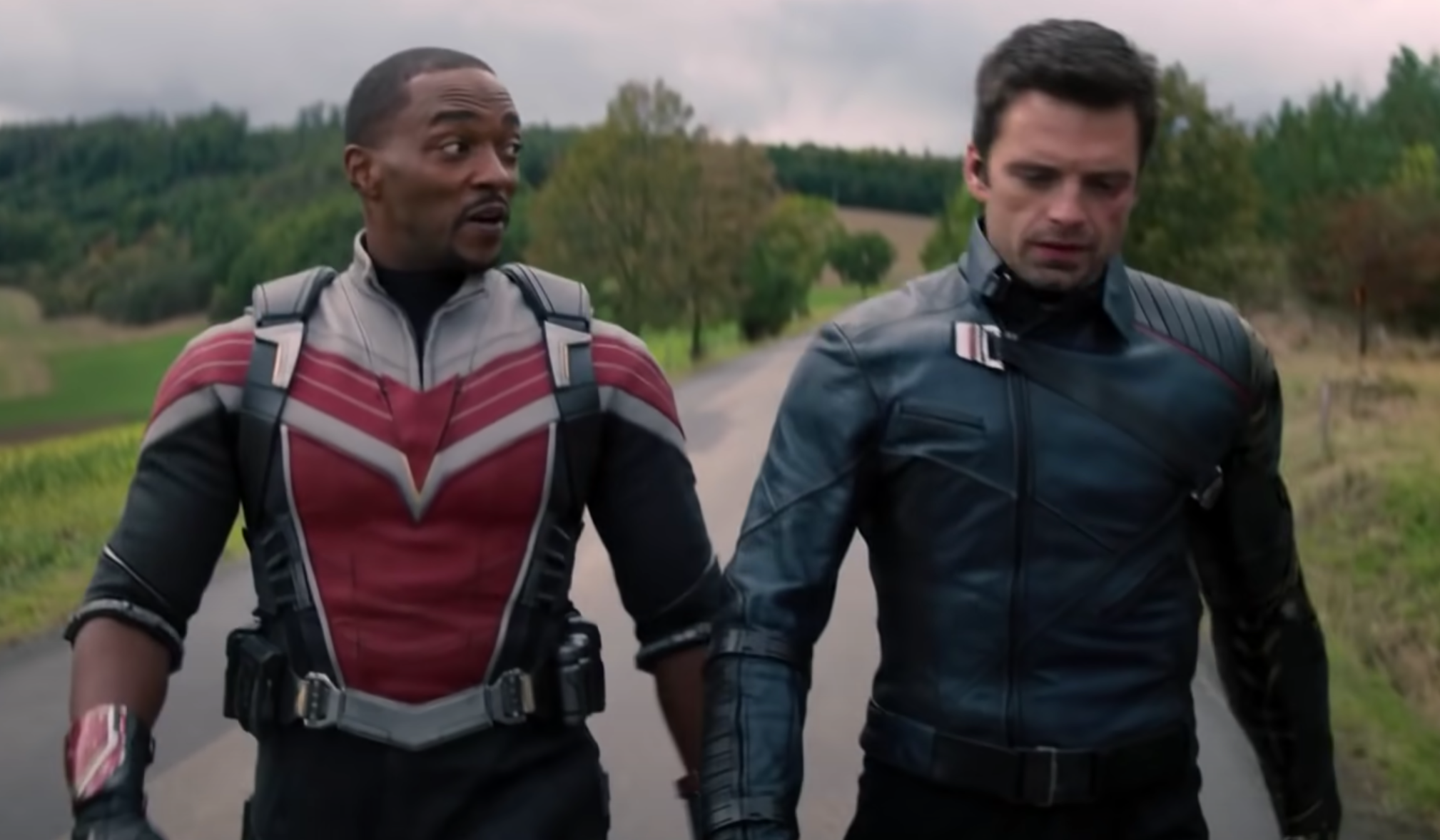 Falcon and cheap winter soldier