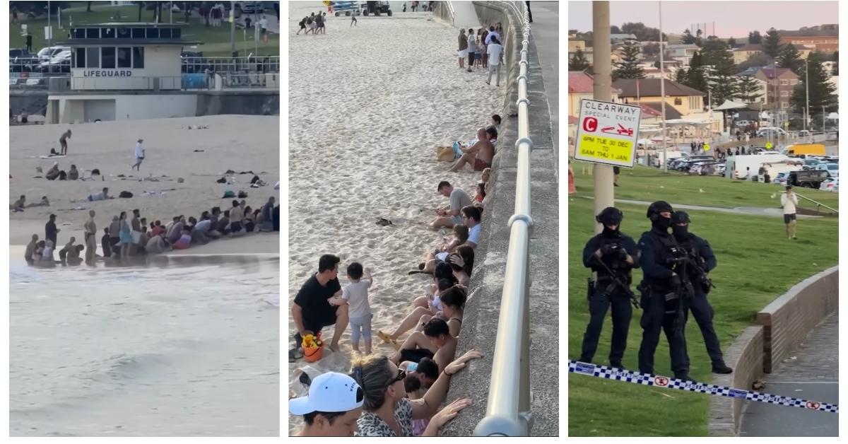 The Shooting at Australia's Bondi Beach Is Devastating, but There Is a Hero Worth Celebrating