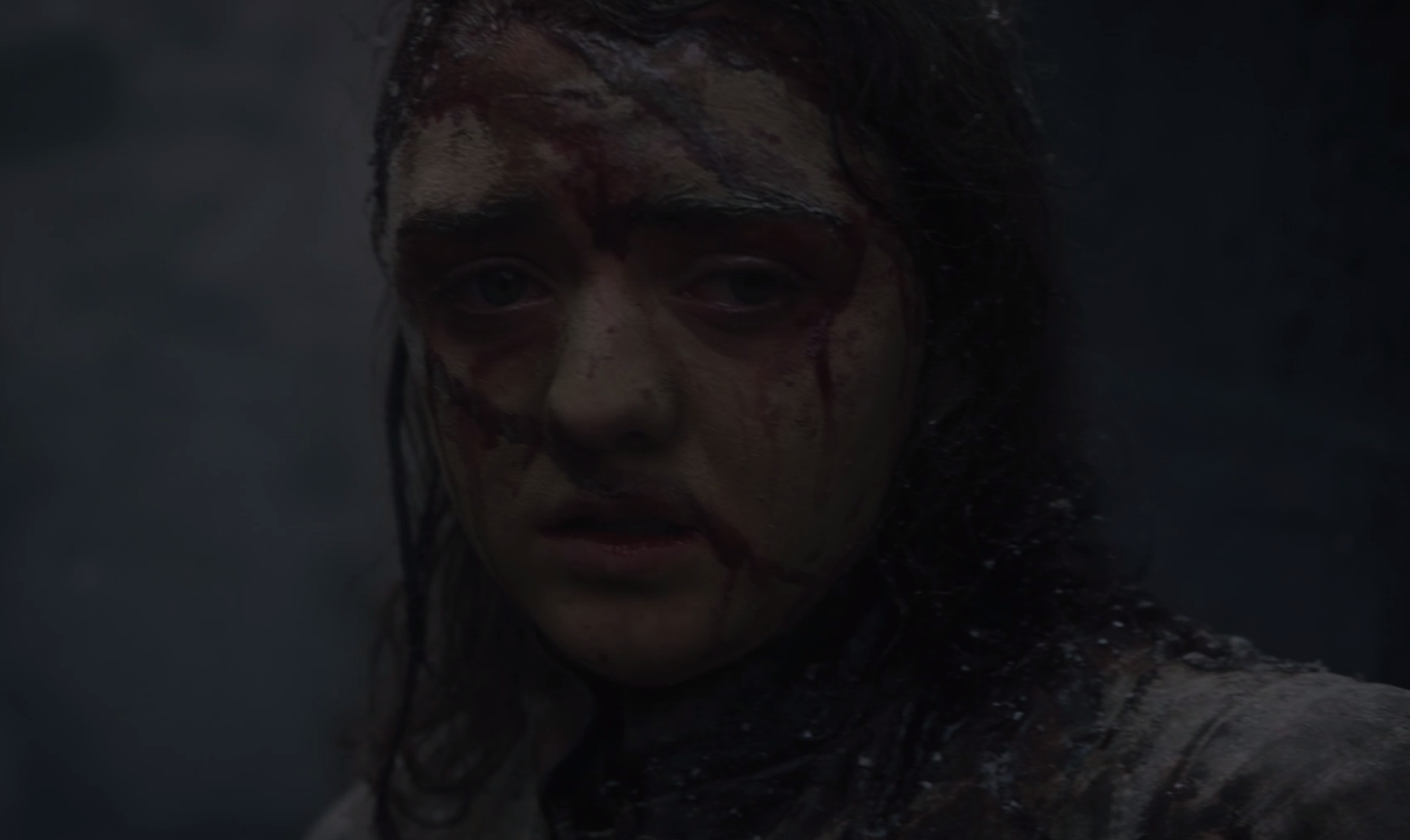 arya stark