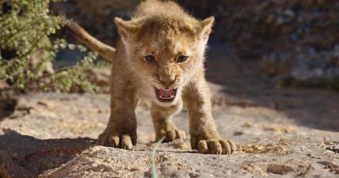 5-lion-king-1580916796116.jpg