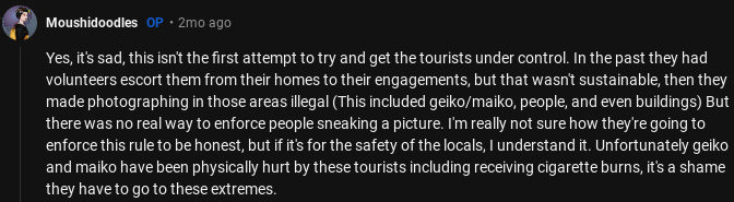 Rude Tourist Photographs Geisha, Gets Slammed Online