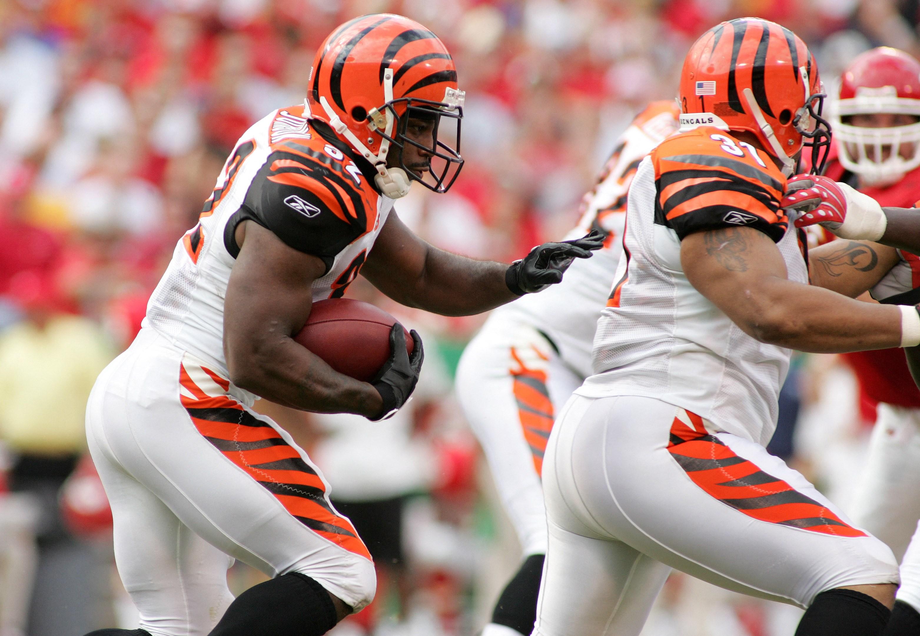 rudi-johnson-playing