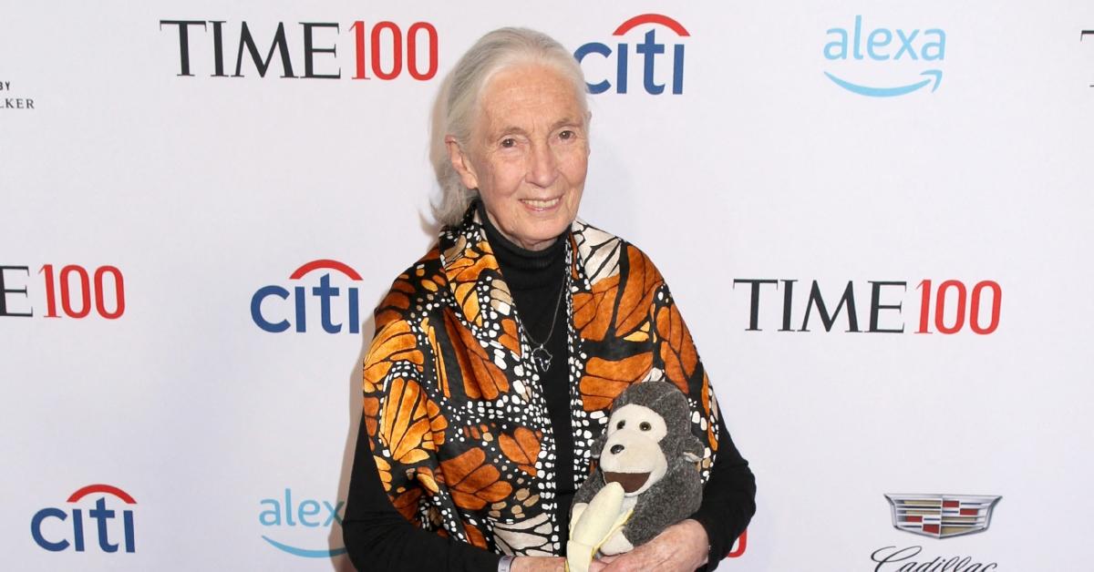 Jane Goodall