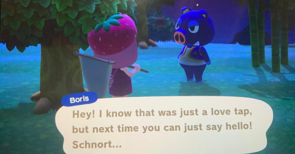 Animal Crossing: New Horizons Force A Camper To Replace A Specific