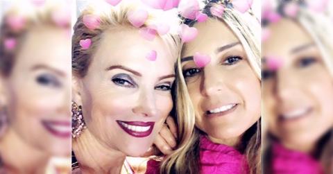 mexican dynasties bessudo family