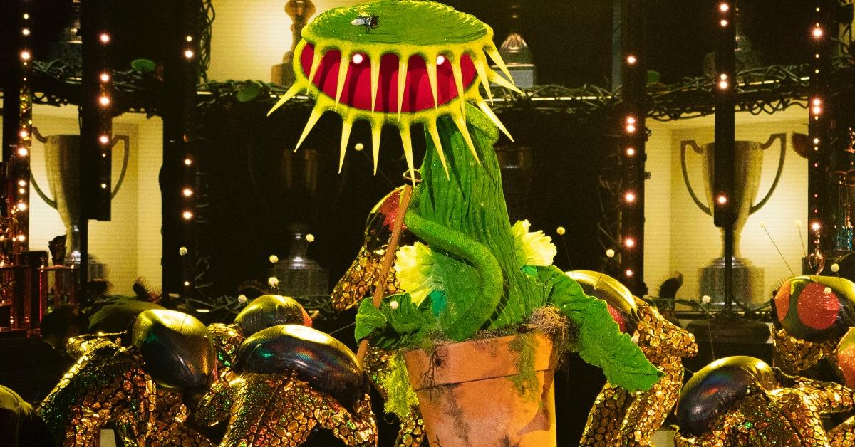 Who Is Venus Fly Trap on 'the Masked Singer'? This Iconic Athlete Was