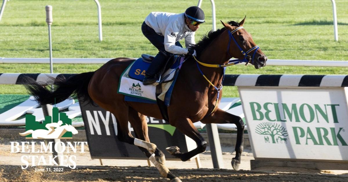 Belmont Stakes 2022 Horses Odds And What To Know Cnn Ira Colon Gossip
