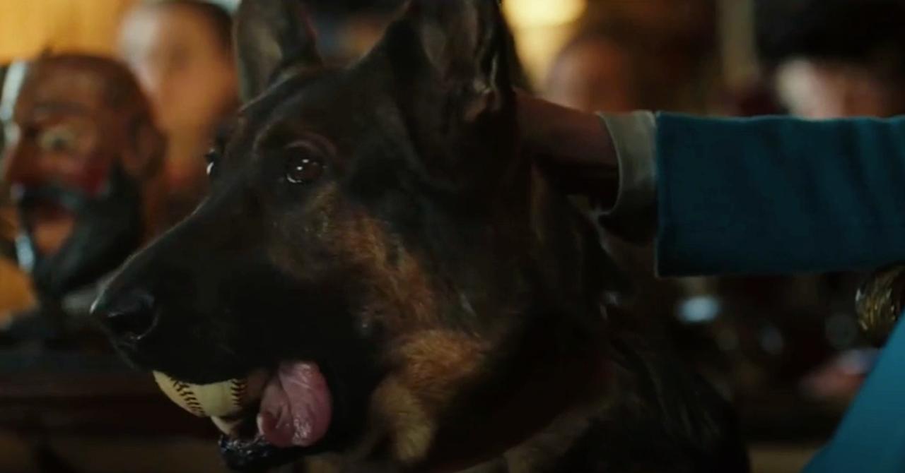 Does the Whodunit Mystery 'Knives Out' Have a PostCredits Scene?