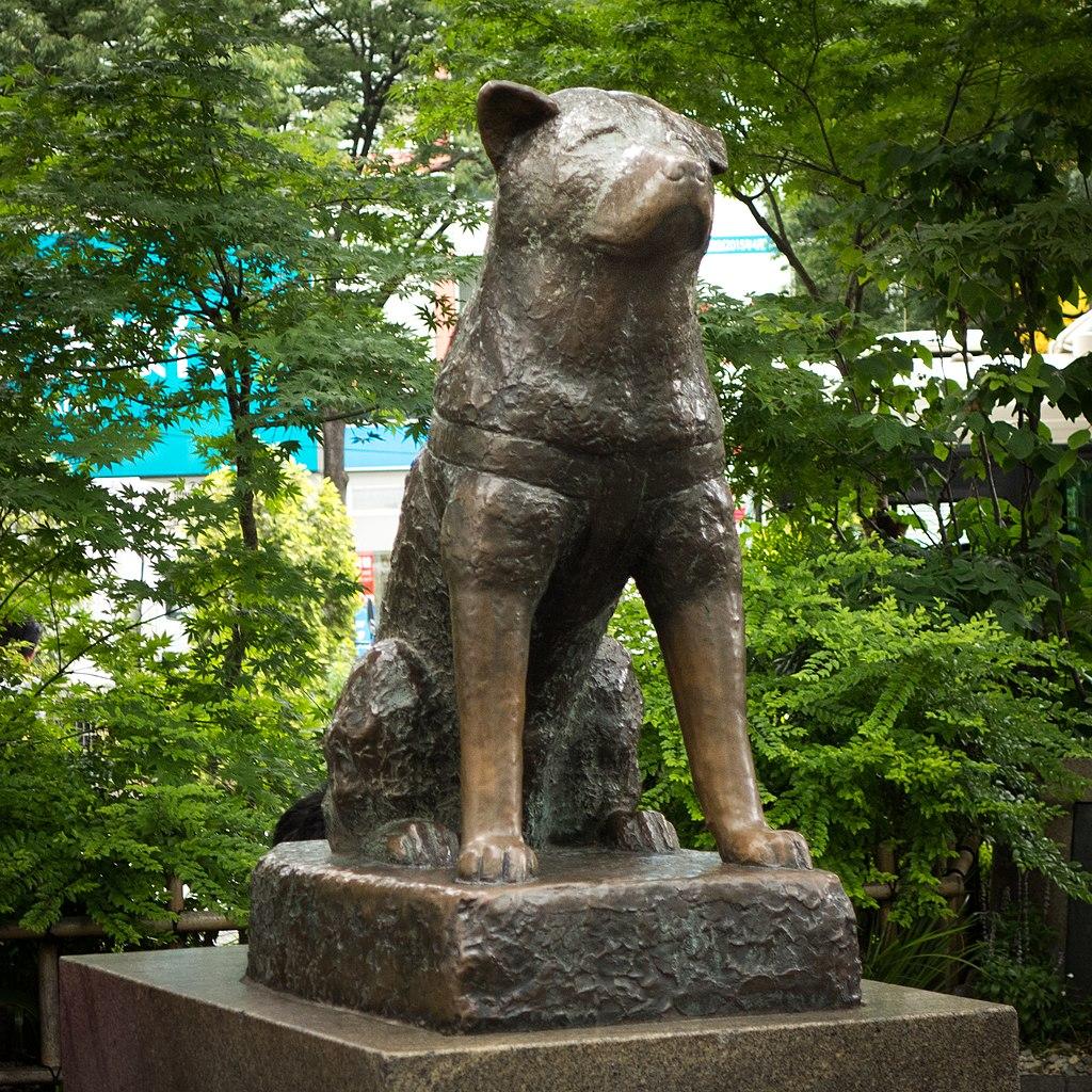 hachiko statue