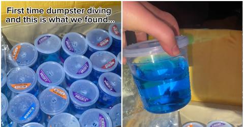 screenshot of tiktok video of fishes in petsmart dumpster