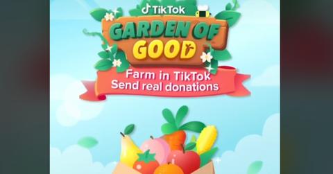 TikTok 'Garden of Good'