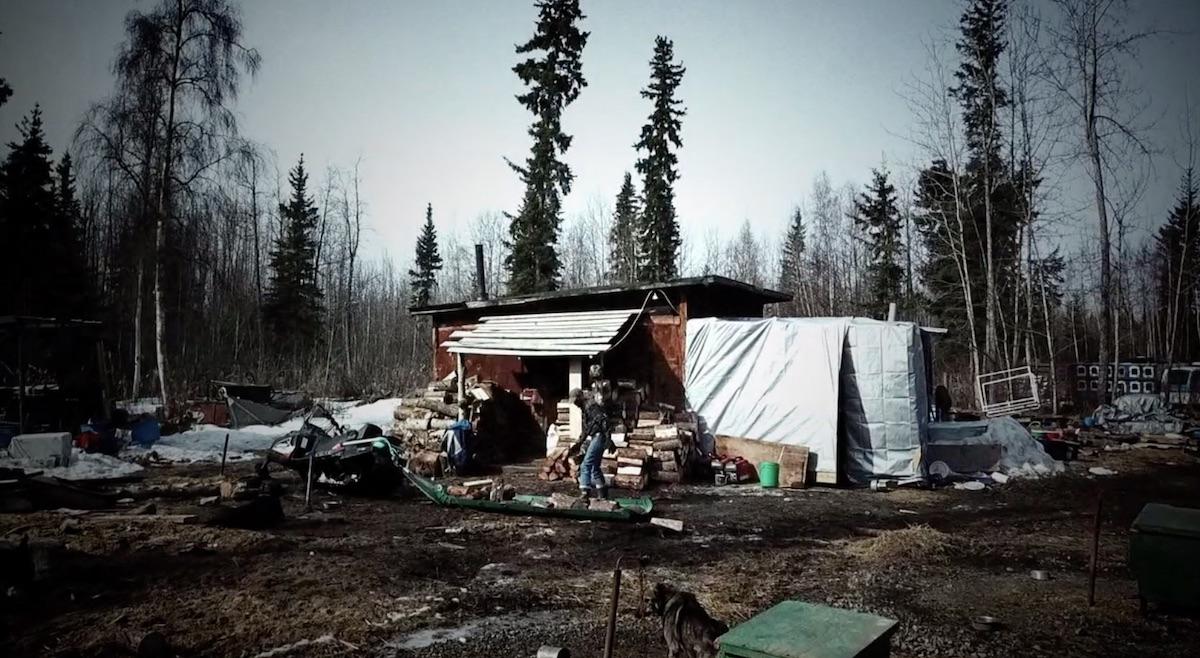 jessie holmes old cabin life below zero