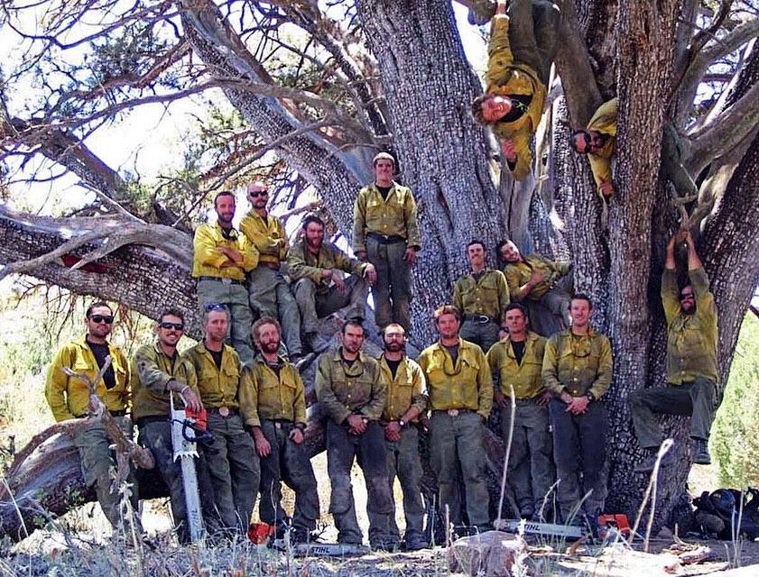 hot shots firefighters killed in california statistics