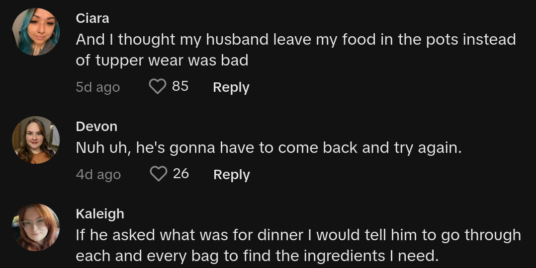 husband groceries in bags in refrigerator