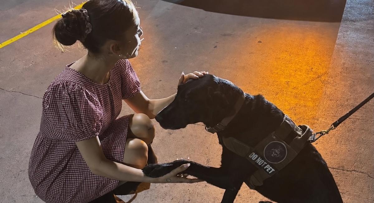ariana grande dog photo