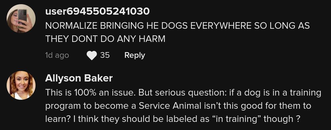 tiktoker service real vs fake service dogs