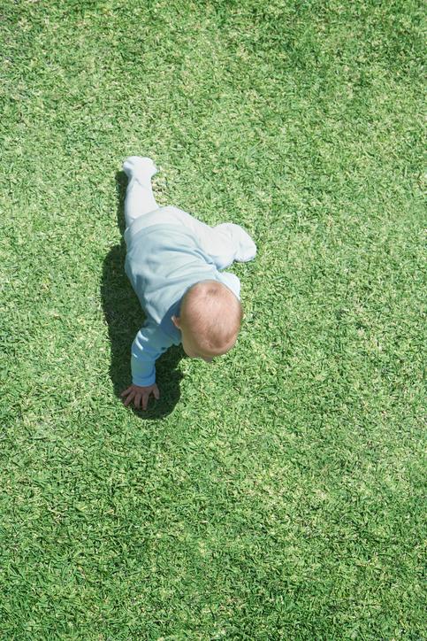 A baby crawling on grass