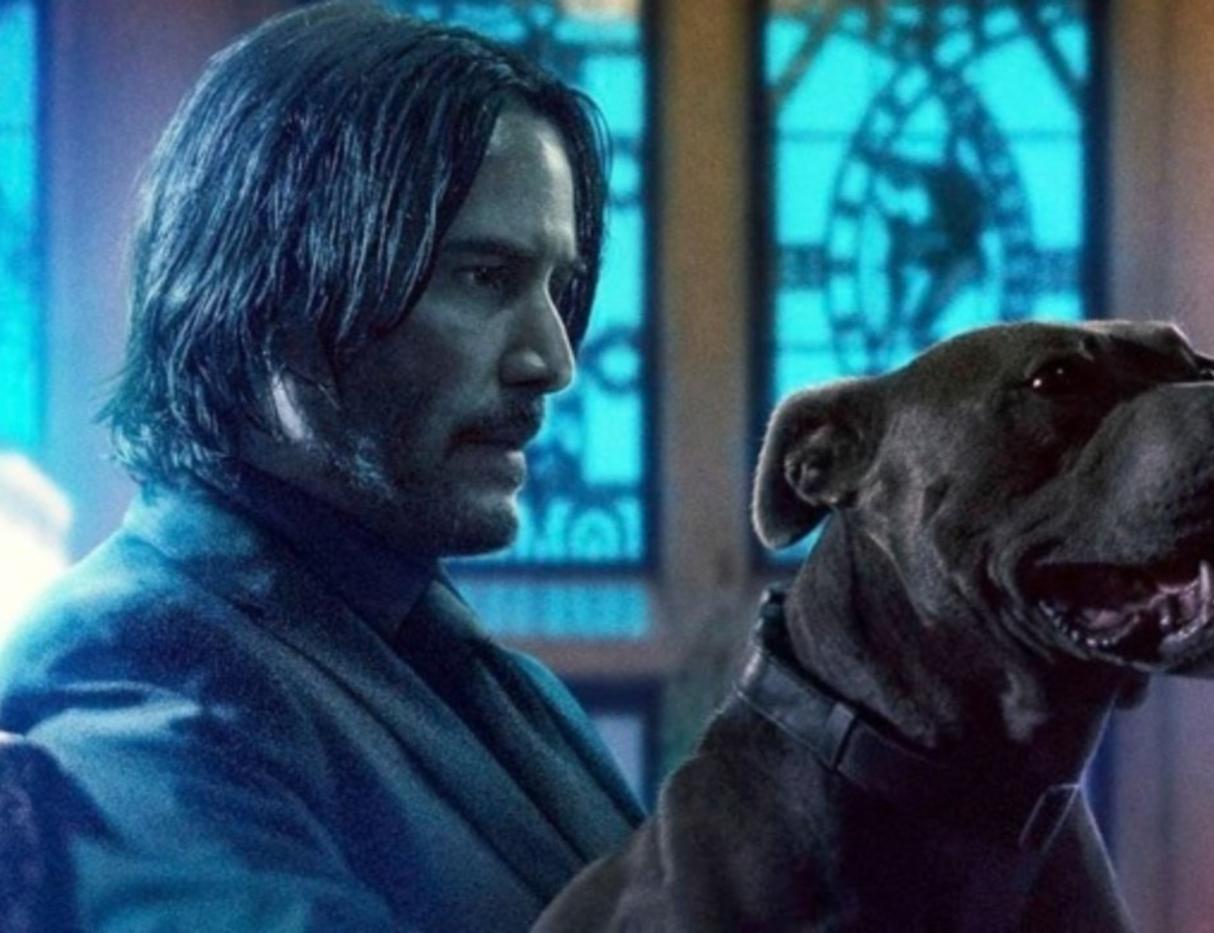 john wick  dog