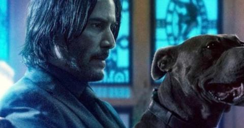 john-wick-3-dog-1558105504503.jpg