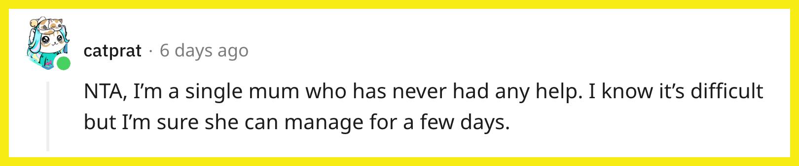 Redditor u/catprat commented, "NTA, I'm a single mum who has never had any help. I know it's difficult, but I'm sure she can manage for a few days."